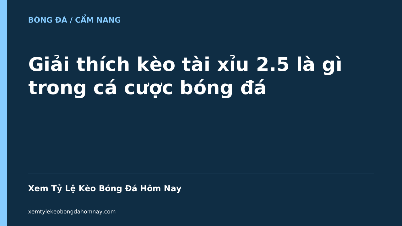Giải thích kèo tài xỉu 2.5 là gì trong cá cược bóng đá